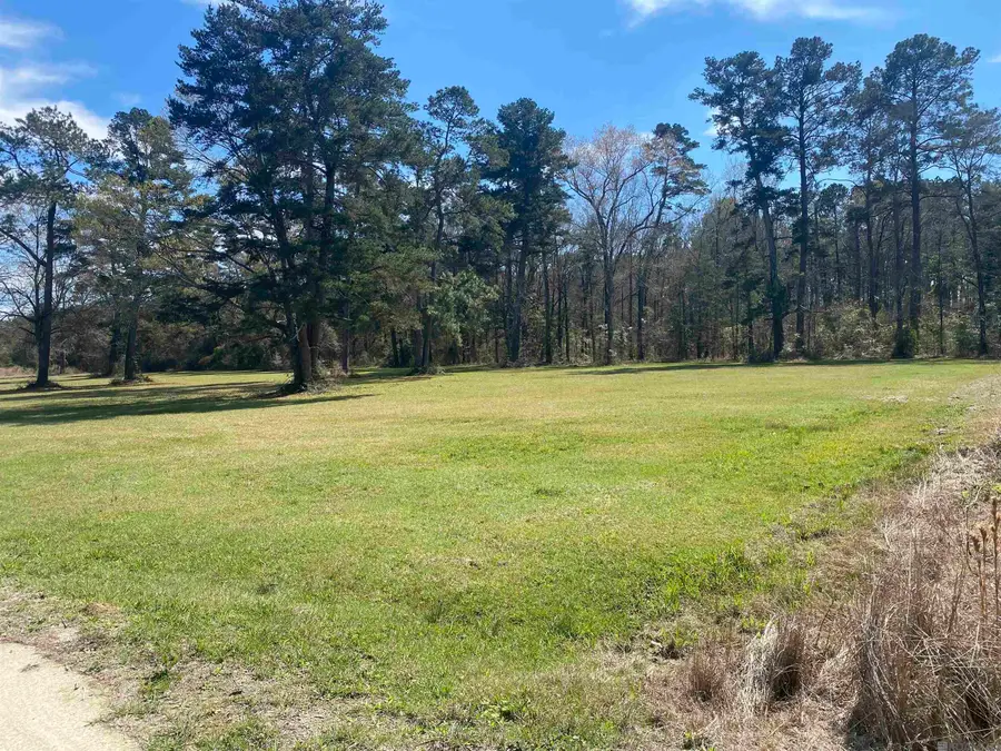 B-1-A-2 Spring House Dr, Greenwell Springs, LA 70739 - #2