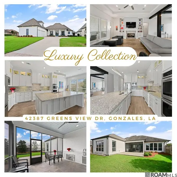 42387 Greens View Dr, Gonzales, LA 70737