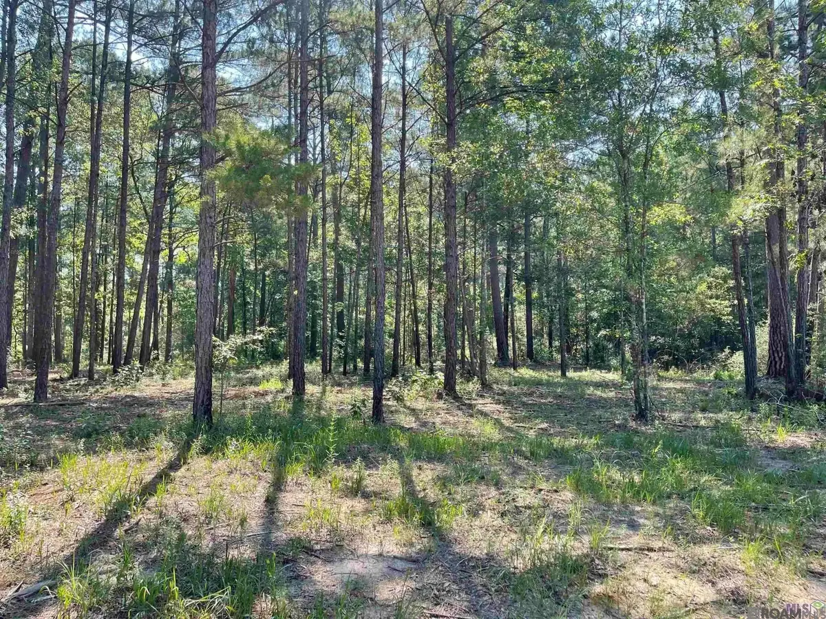 TBD Mack Ln, Clinton, LA 70722 - #1