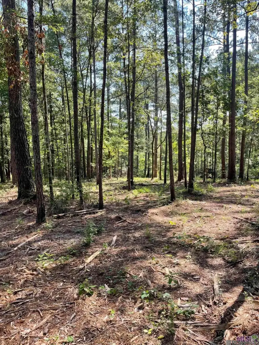 TBD Mack Ln, Clinton, LA 70722 - #2