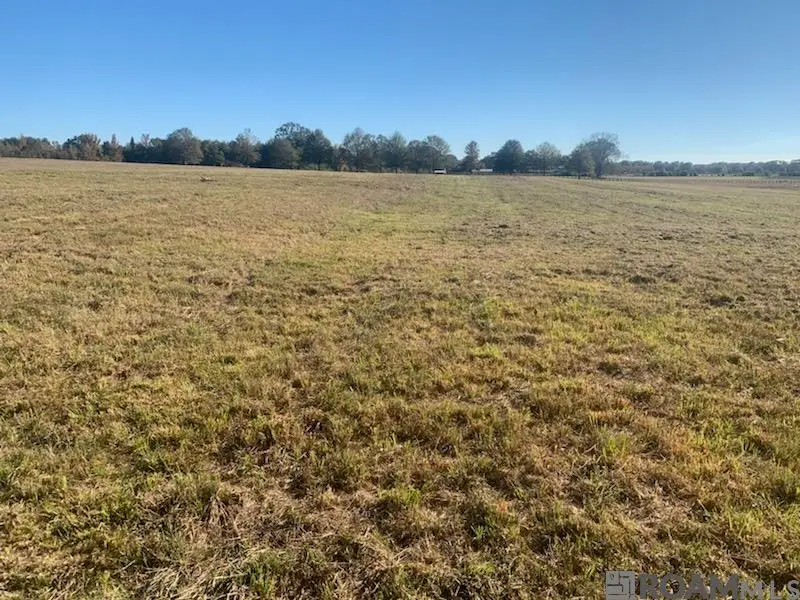 E-1-E-1-B N Plank Rd, Zachary, LA 70791 - #2