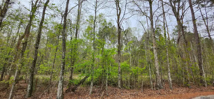 Lot A-1 Lod Stafford Rd, Walker, LA 70785 - #2