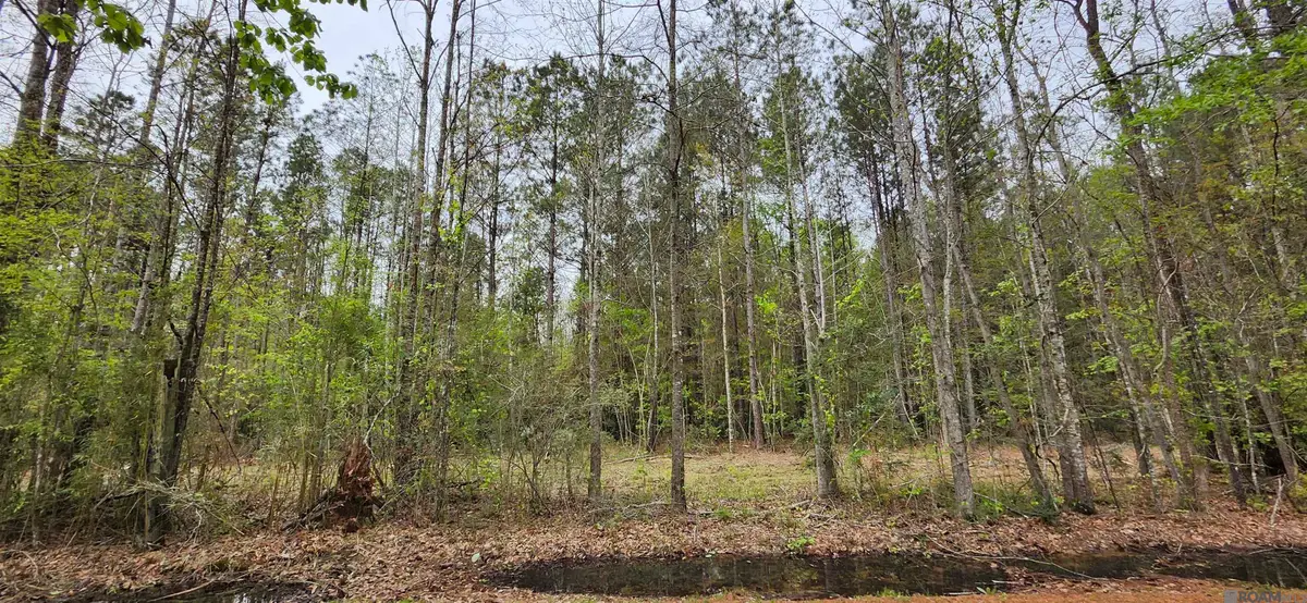 Lot C-1 Jessie Sibley Rd, Walker, LA 70785 - #1