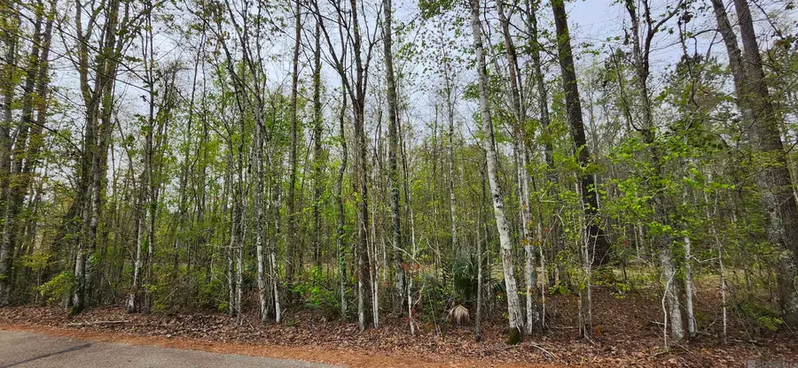 Lot C-1 Jessie Sibley Rd, Walker, LA 70785 - #2