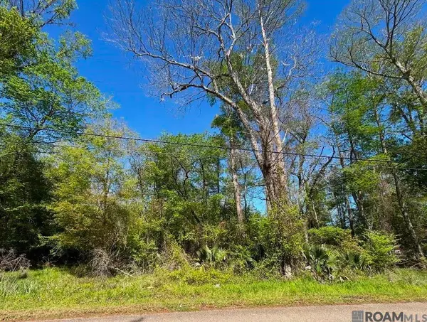 Lot 23 La Trace Rd, Livingston, LA 70754