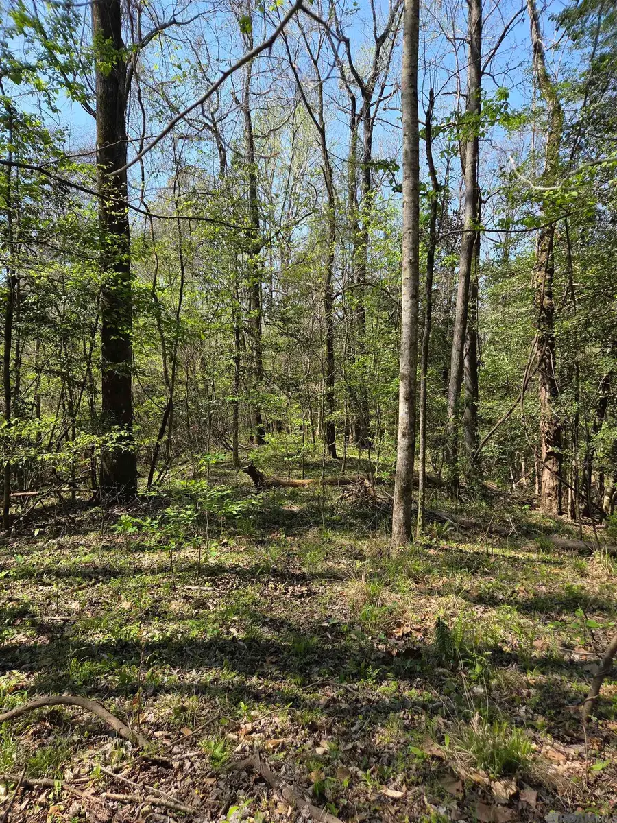 TBD Ouida Irondale Rd, Saint Francisville, LA 70775 - #2