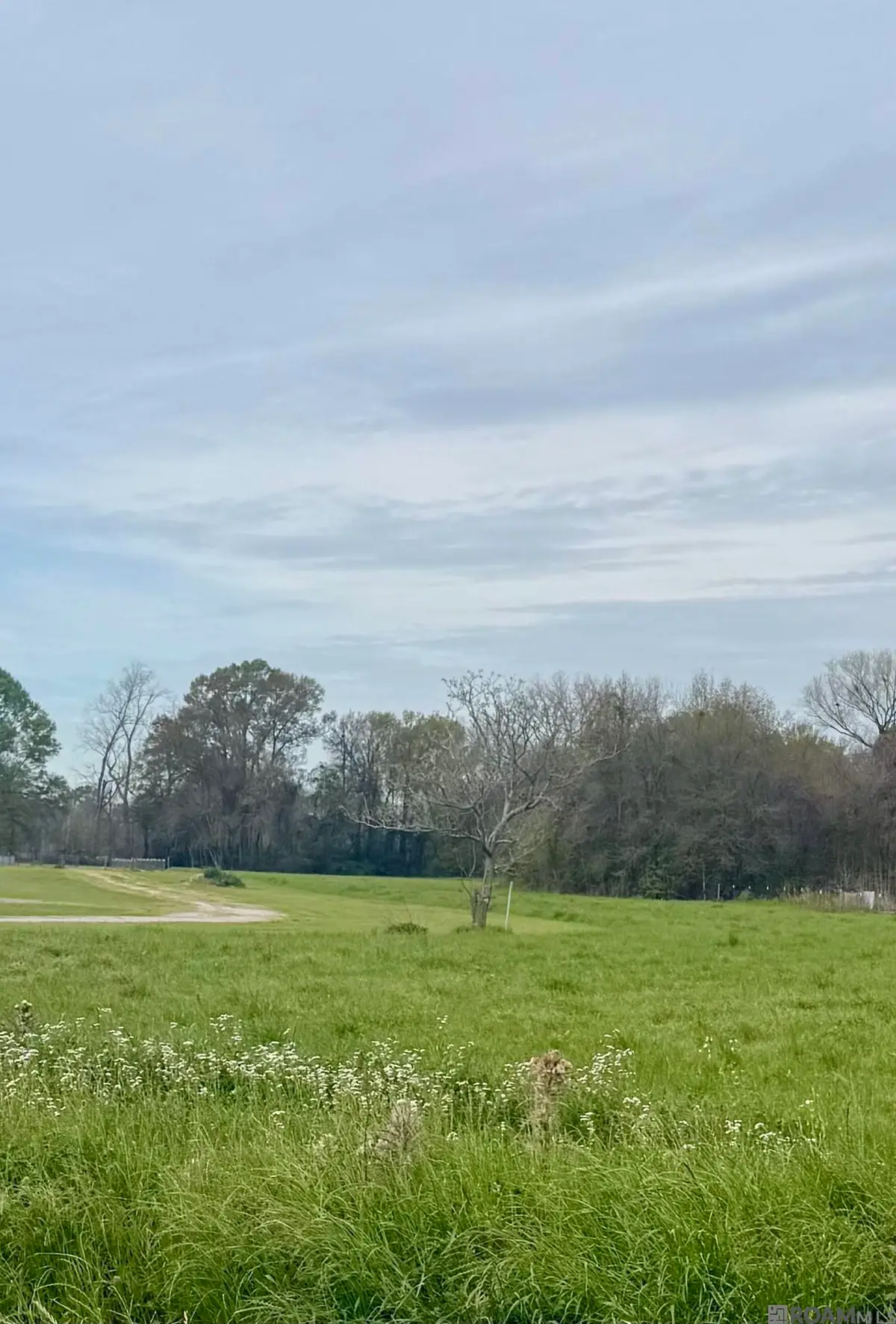TBD Oakland Rd, Lakeland, LA 70752 - #1
