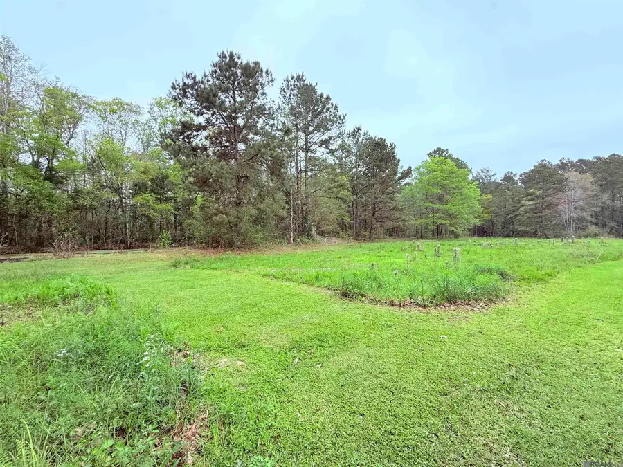 19425 Grantham Rd, Livingston, LA 70754 - #3