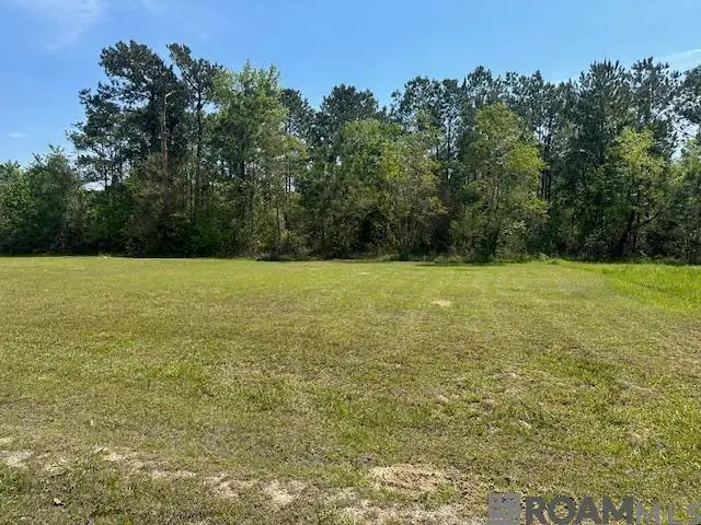 26404 Ponchatoula Dr, Springfield, LA 70449 - #1
