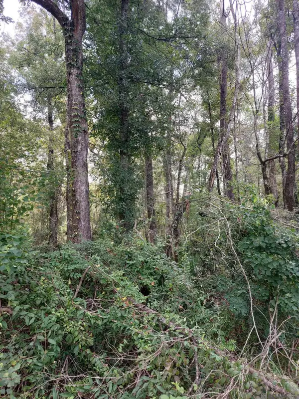 Remington Rd, Denham Springs, LA 70706