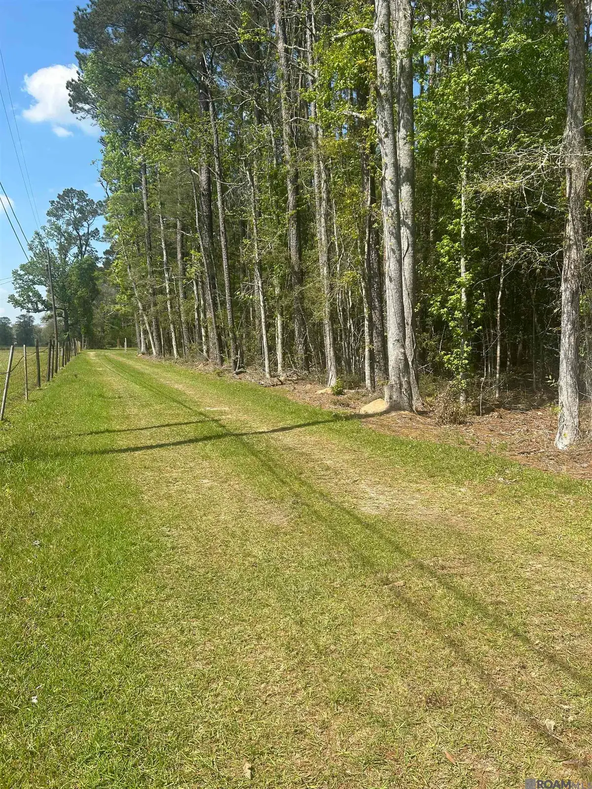 19435 Aydell Ln, French Settlement, LA 70733 - #1