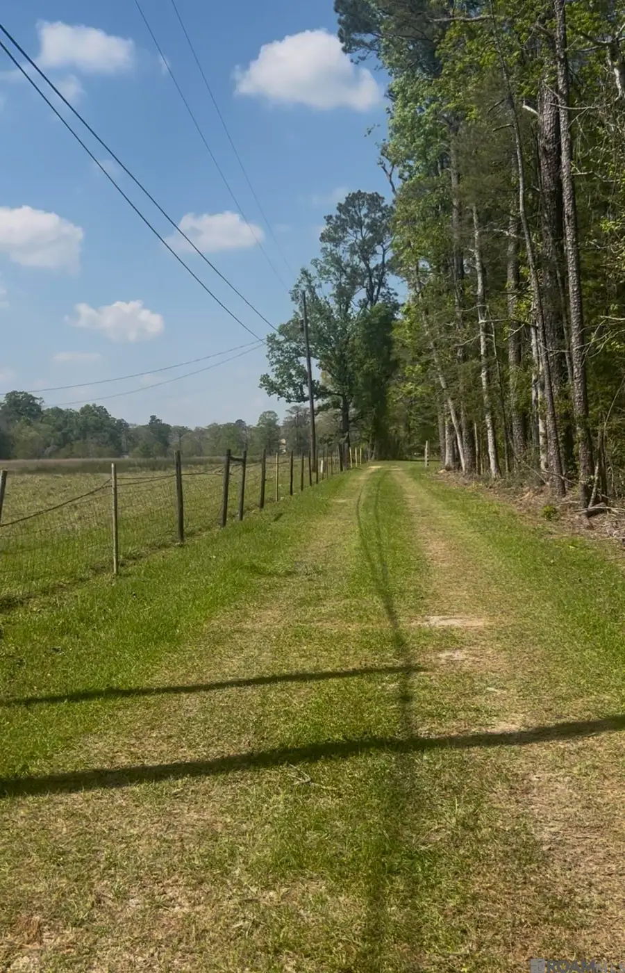 19435 Aydell Ln, French Settlement, LA 70733 - #2