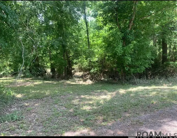 Amite River Rd, Baton Rouge, LA 70817 - #1