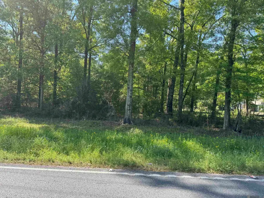 Lot B-1-C La Hwy 16, Denham Springs, LA 70726 - #2