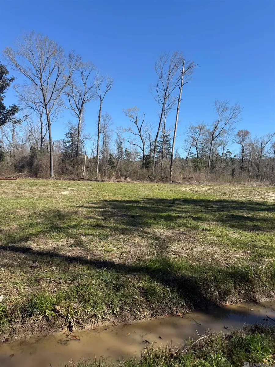 Lot 2 Music Ln, Springfield, LA 70462 - #2