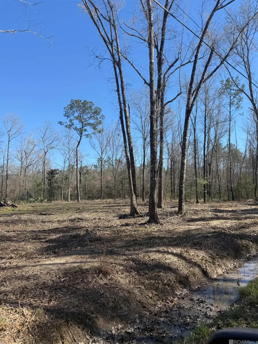 Lot 2 Music Ln, Springfield, LA 70462 - #3