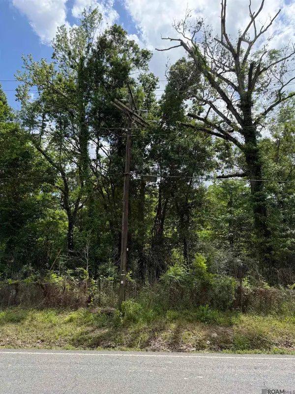 TBD Bayou Narcisse, Gonzales, LA 70737