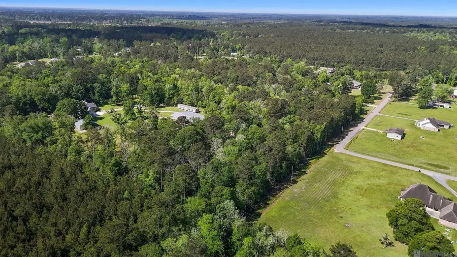 Zara Sage Rd, Walker, LA 70785 - #3