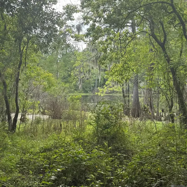 LOT-137 Amite River Rd, Baton Rouge, LA 70817