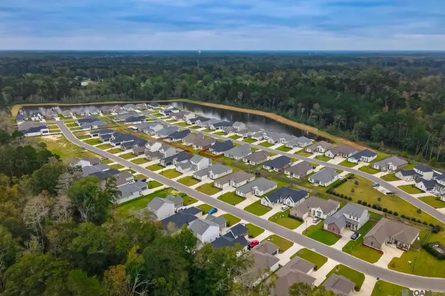 25311 Burlington Dr, Denham Springs, LA 70726 - #3