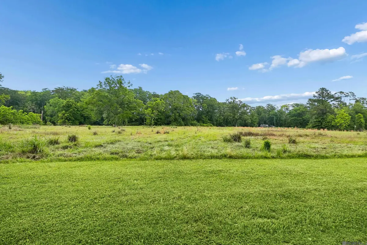 17037 La Hwy 431, Prairieville, LA 70769 - #1