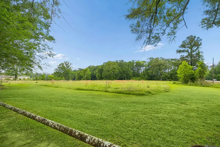 17037 La Hwy 431, Prairieville, LA 70769 - #3