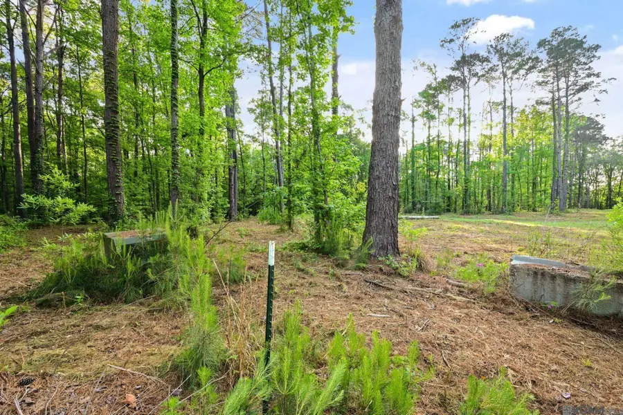 TBD Old Laurel Hill Rd, Saint Francisville, LA 70775 - #2