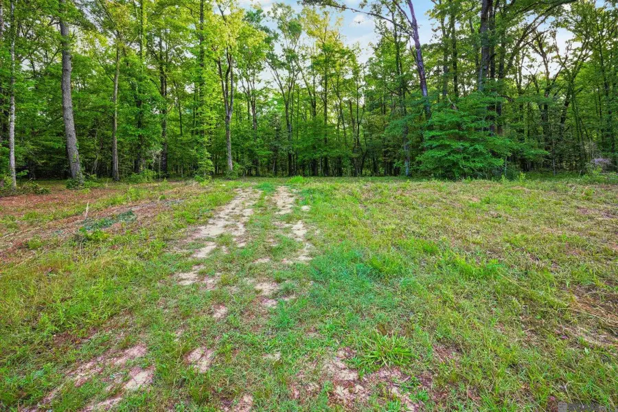 TBD Old Laurel Hill Rd, Saint Francisville, LA 70775 - #3