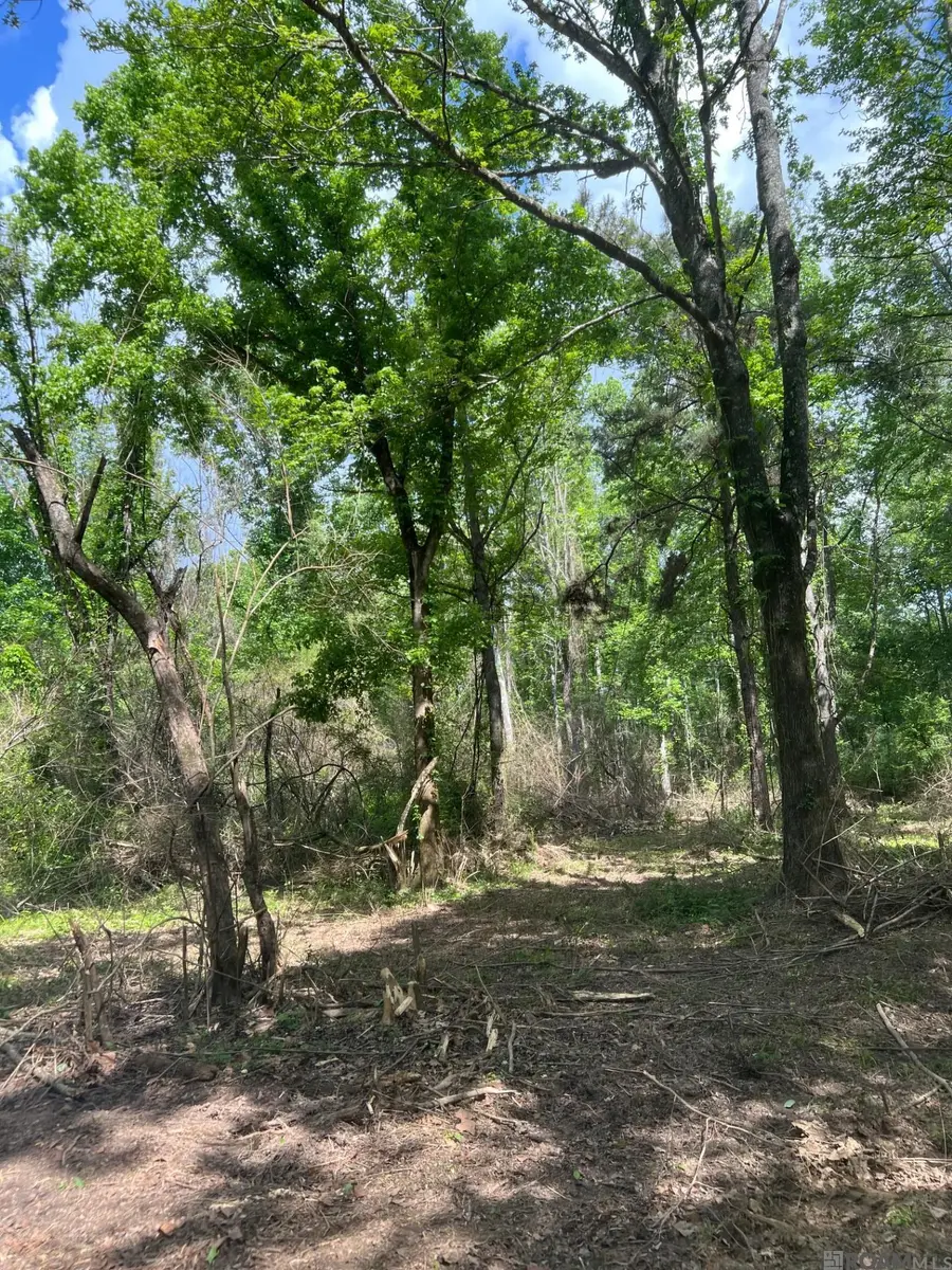 TBD Lemon B Rd, Slaughter, LA 70777 - #2