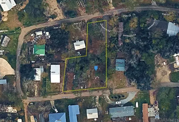 31935 Shelly Dr, Springfield, LA 70462