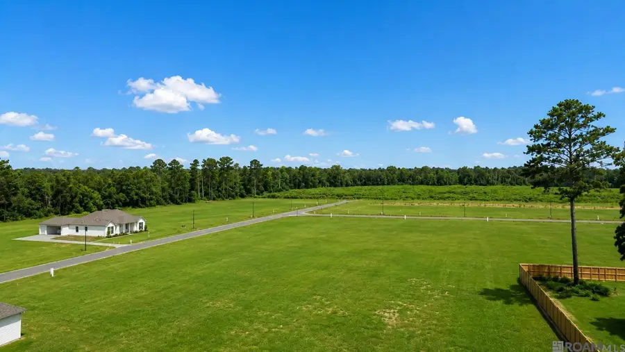 24112 Red Tail Lane, Denham Springs, LA 70726 - #2