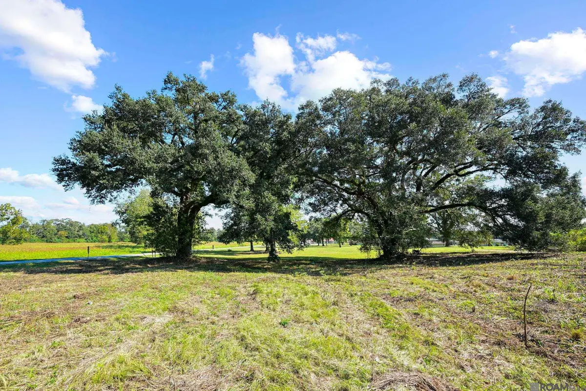 9782 West Feliciana Pkwy, Saint Francisville, LA 70775 - #1
