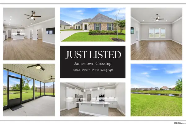 17038 Shearwater Trace, Prairieville, LA 70769