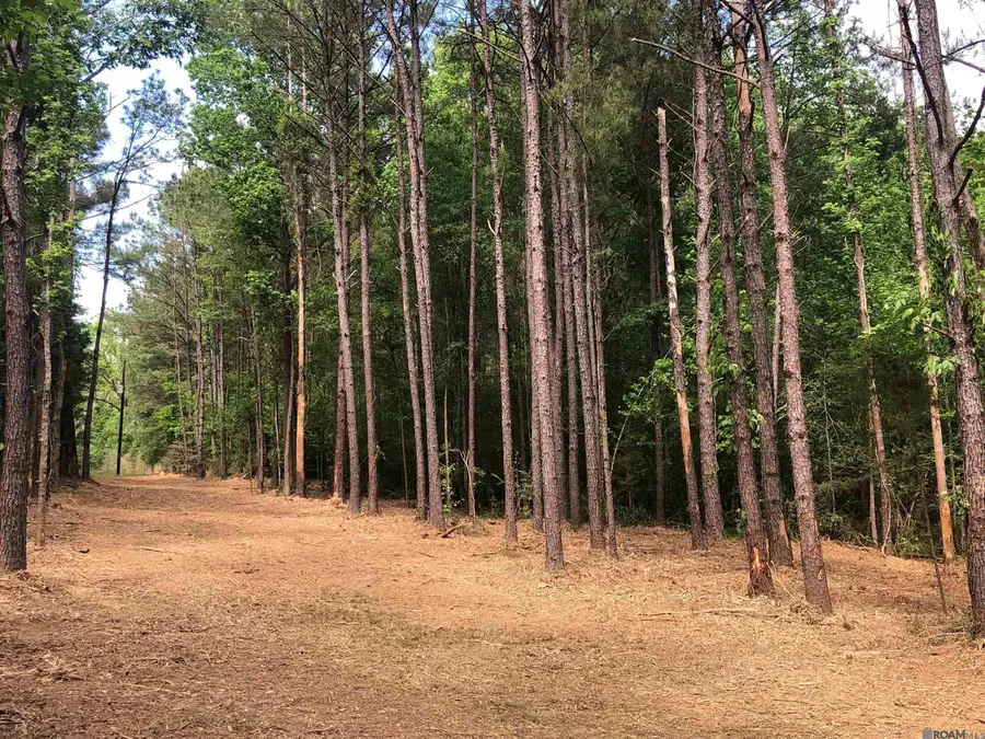 TBD Hatfield Ln, Jackson, LA 70748 - #3