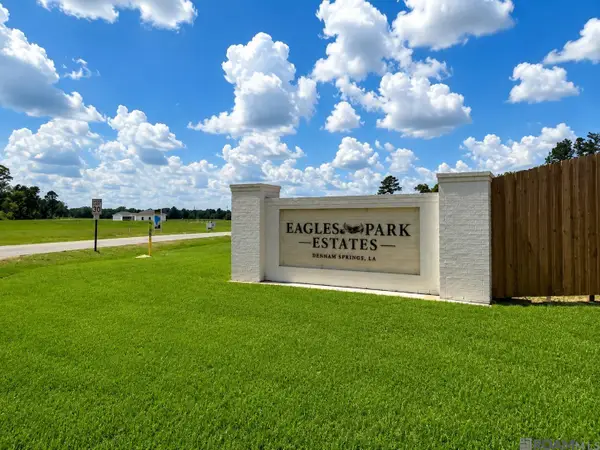 24132 Red Tail Lane, Denham Springs, LA 70726