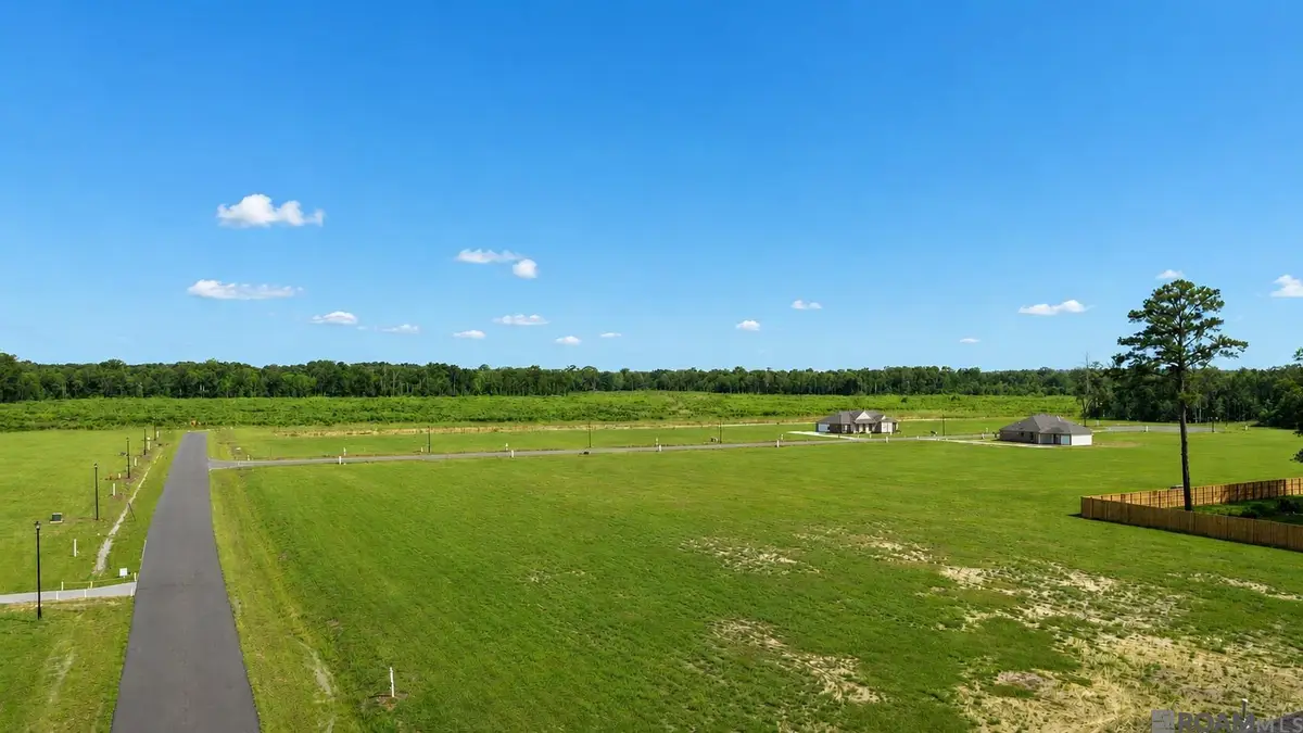 13503 Eagles Park Drive, Denham Springs, LA 70726 - #1