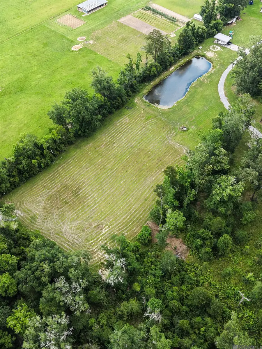 19397 La Hwy 42, Livingston, LA 70754 - #2