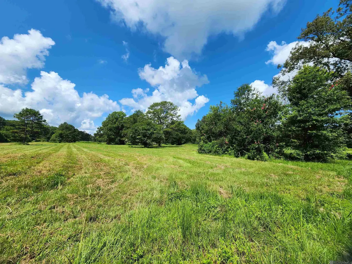 tbd La Hwy 956, Ethel, LA 70730 - #1