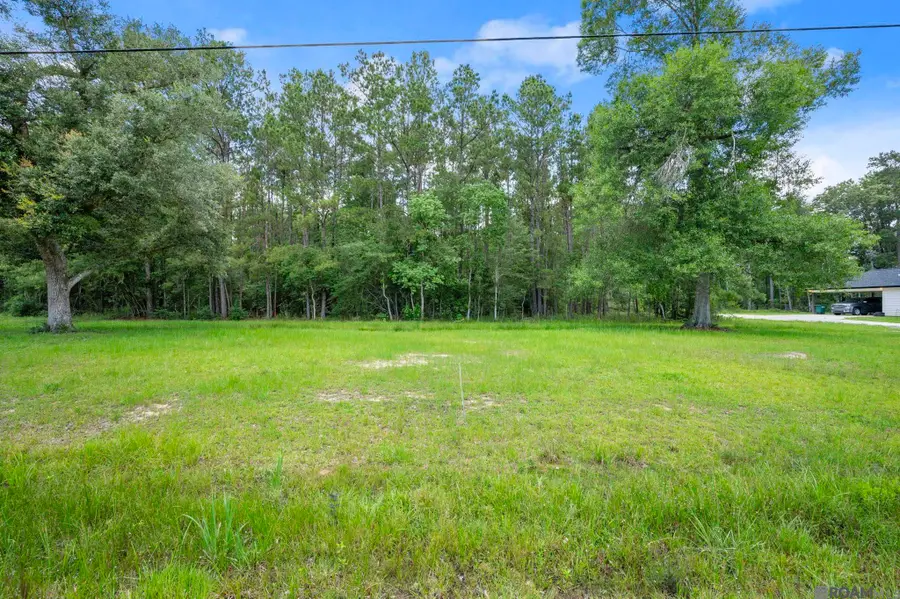 TBD Lot 80 Riverside Rd, Springfield, LA 70462 - #2
