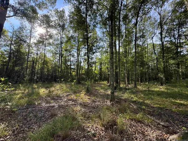 SF-9 La Hwy 16, Denham Springs, LA 70706