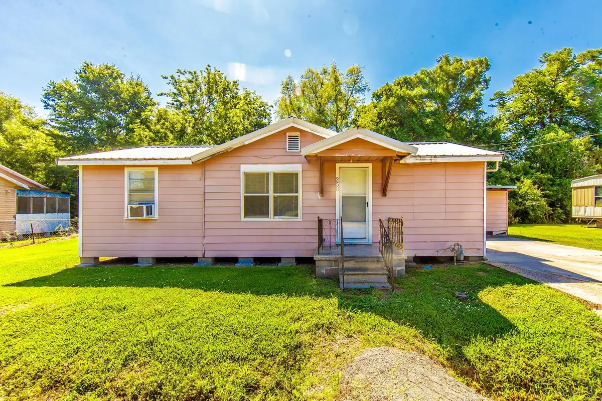250 Louise Lane, Houma, LA 70364 - #1