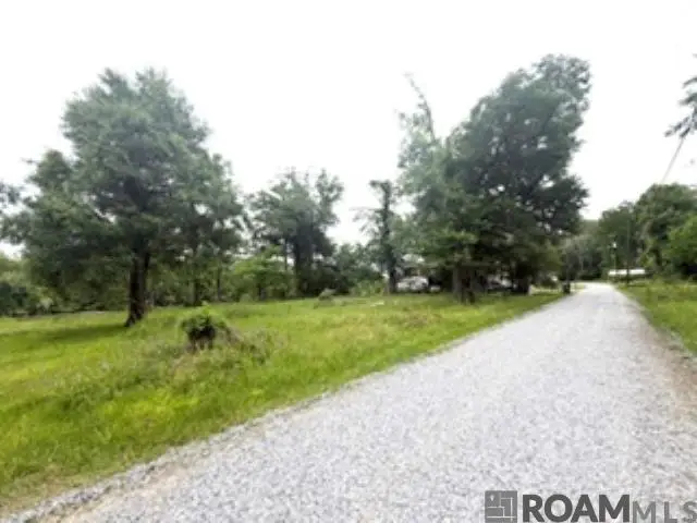19151 River Bend Rd, Maurepas, LA 70449 - #1