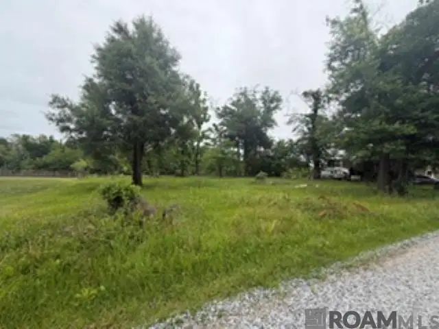 19151 River Bend Rd, Maurepas, LA 70449 - #3