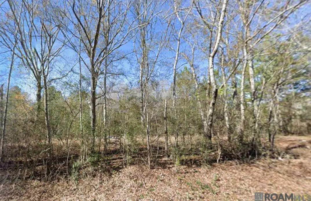 Sam Thomas Road, Franklinton, LA 70438 - #1