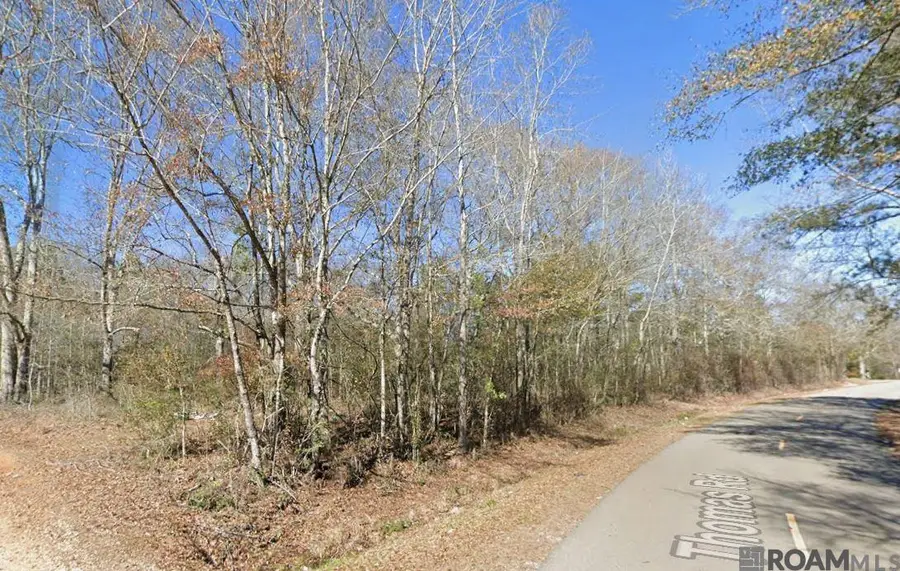 Sam Thomas Road, Franklinton, LA 70438 - #2