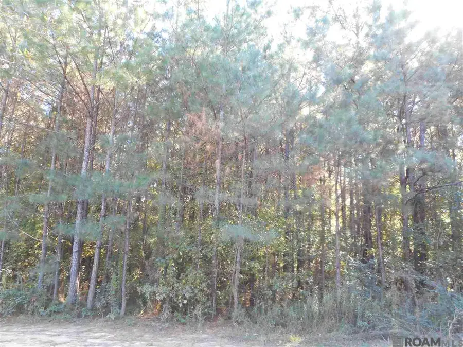 7430-A Lane Rd, Ethel, LA 70730 - #3