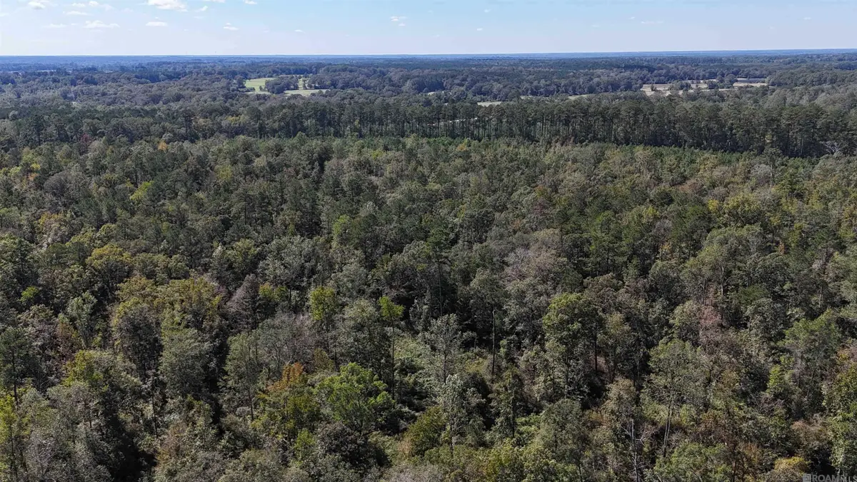 SMIT-1-B-3-A La Hwy 63, Clinton, LA 70722 - #1