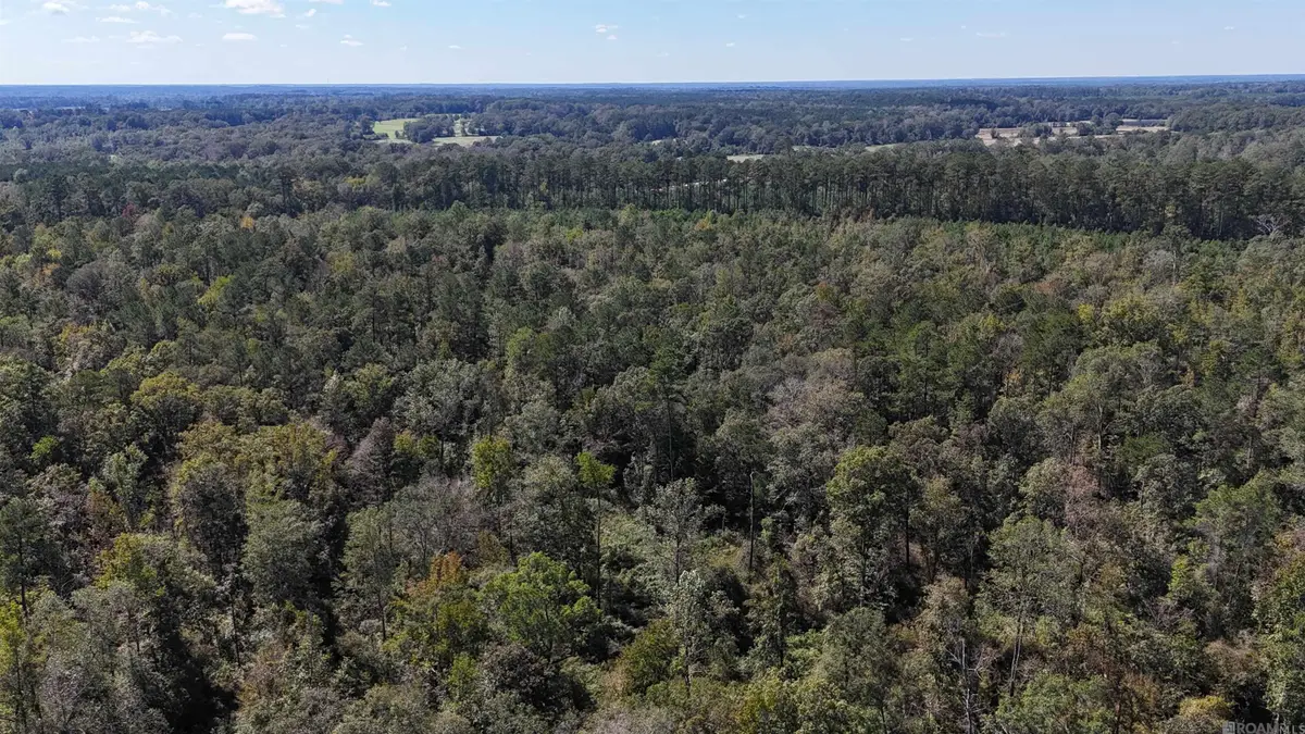 SMIT-1-B-2-A La Hwy 63, Clinton, LA 70722 - #1