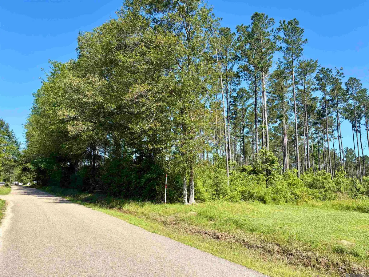 14936 Pace Rd, Clinton, LA 70722 - #1
