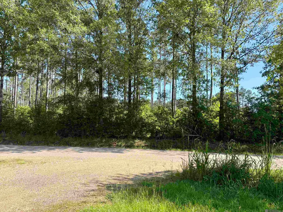 14936 Pace Rd, Clinton, LA 70722 - #2